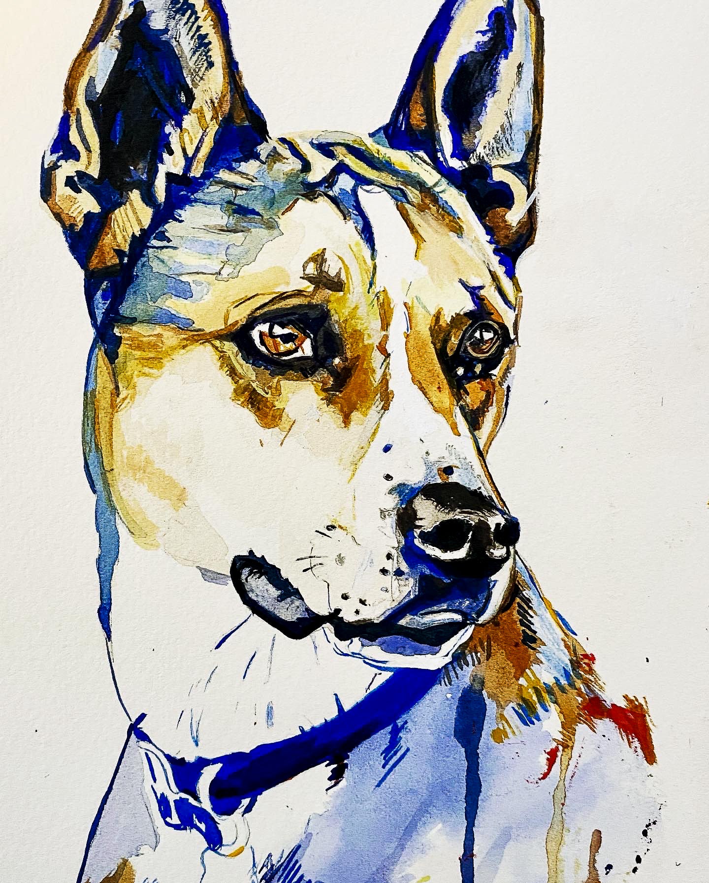 Cattledog Print by Artist Ruthie Gibbs