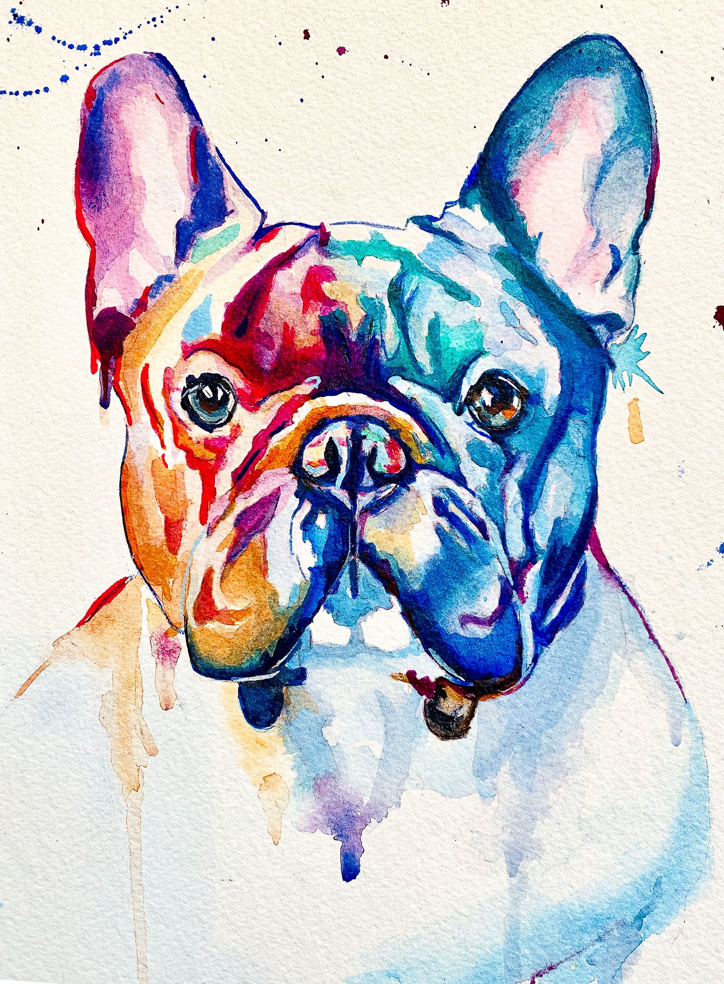 French Bulldog Terrier Print