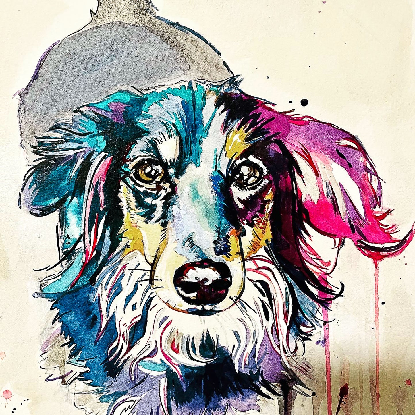 Long Haired Dachshund Print by Artist Ruthie Gibbs