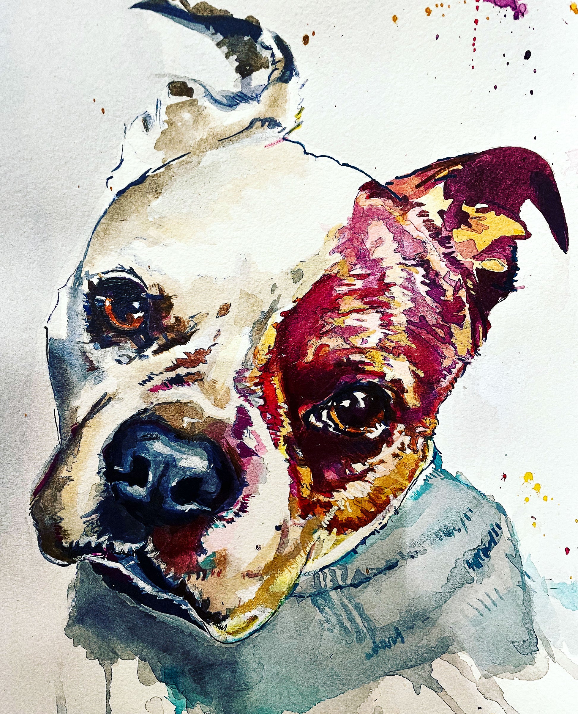 Pit Bull Print by Artist Ruthie Gibbs