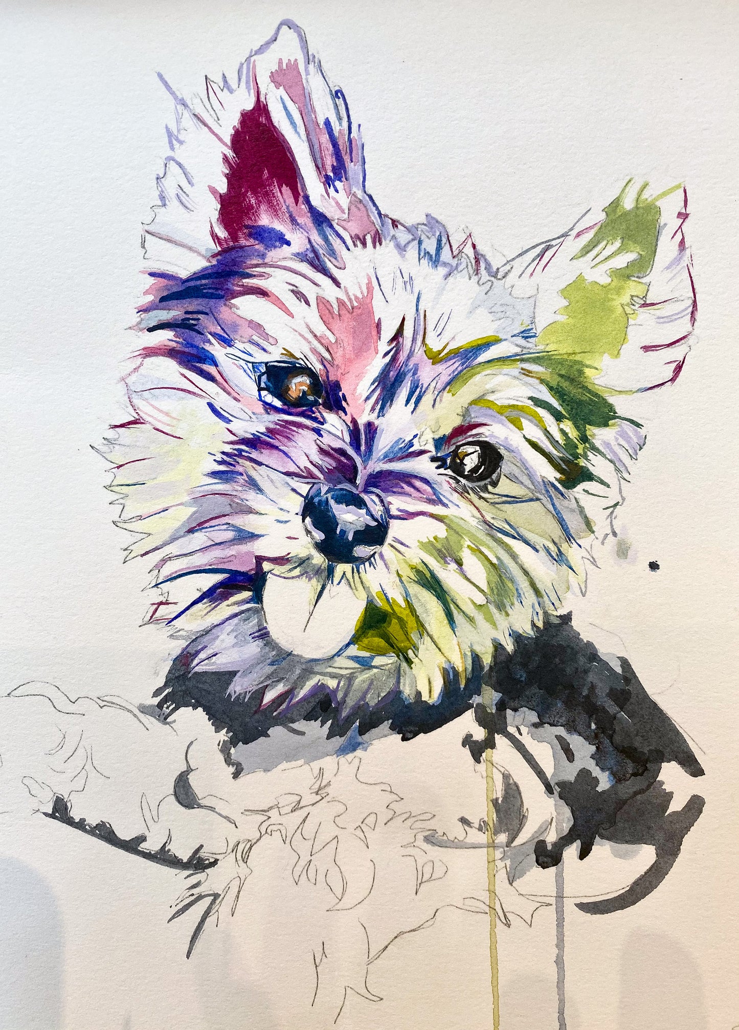 Yorkshire Terrier Print